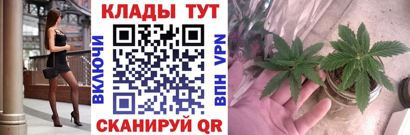 Купить закладку СОЛЬ COCAIN Меф Амфетамин ГАШИШ Лермонтов