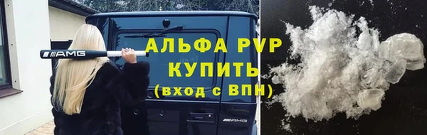 дживик Вязьма