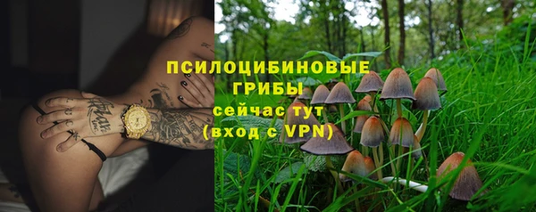 дживик Вязьма